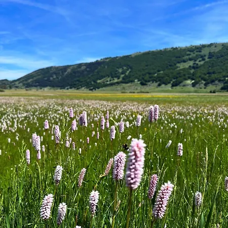 Jazz Shelter! Relax Tra Le Vette Abruzzesi! בקתה