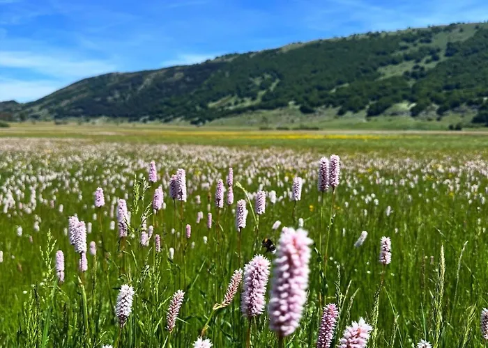 Jazz Shelter! Relax Tra Le Vette Abruzzesi! Chalet